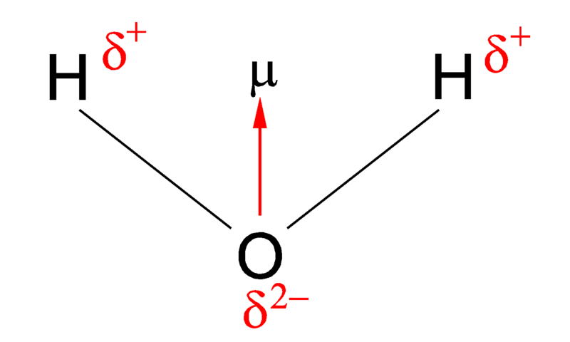 explain-dipole-dipole-forces-brainly-in